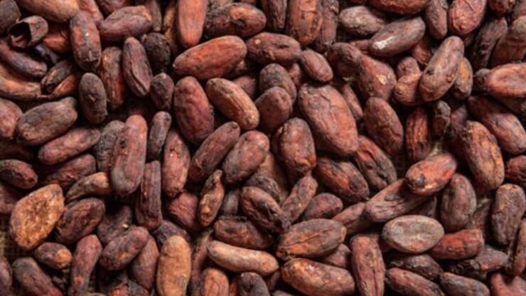 Kakaonun şaşırtıcı faydaları