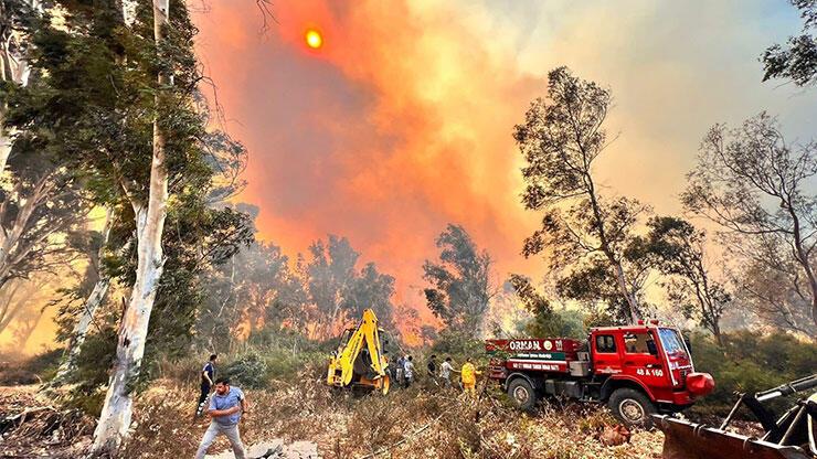Antalya'daki orman yangınında 15 hektar zarar gördü