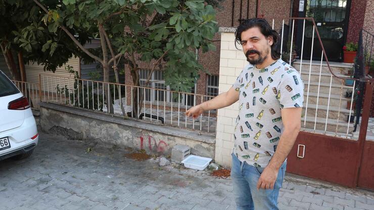 İzmir'de 2 sokak kedisinin zehirli yiyecek verilerek öldürüldüğü tespit edildi 