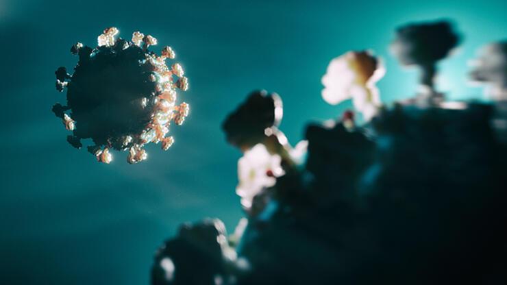 WHO warns: A new wave of coronavirus is coming