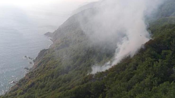 Ormanlık alana düşen yıldırım yangına neden oldu