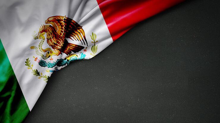 Meksika’da kartel şiddeti: Okullar tatil edildi, toplu taşıma durduruldu