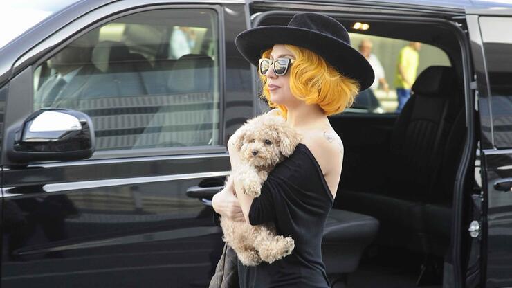  Lady Gaga'nın köpeklerini kaçıran ve gezdiren kişiyi yaralayan saldırgana 21 yıl hapis