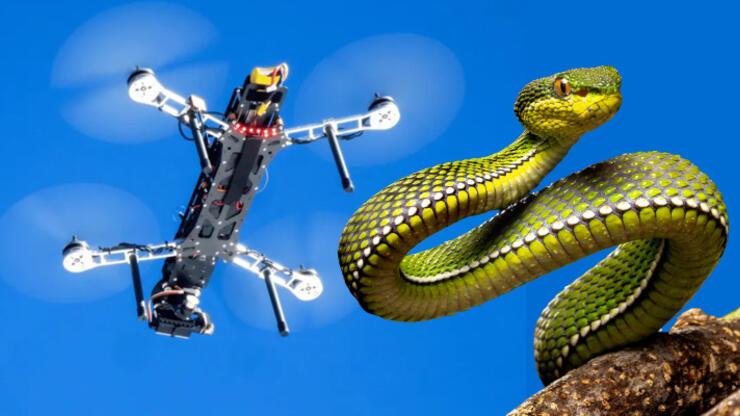 Robot teknolojilerinde çığır açan yenilik: Uçan yılanlar!