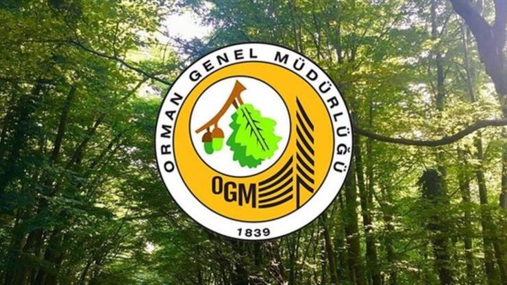 OGM personel alımı başvuru ekranı 2023: Orman muhafaza memur alımı başvurusu nasıl yapılır, şartları neler?