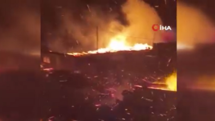 Şili'de orman yangını: 750 hektar küle döndü