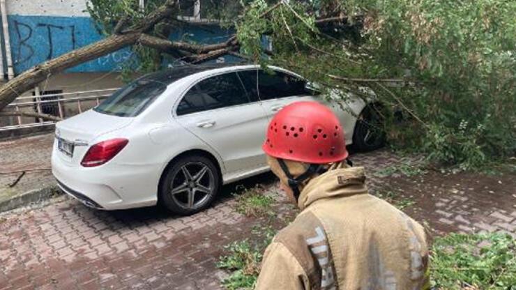Beşiktaş'da otomobilin üzerine ağaç devrildi