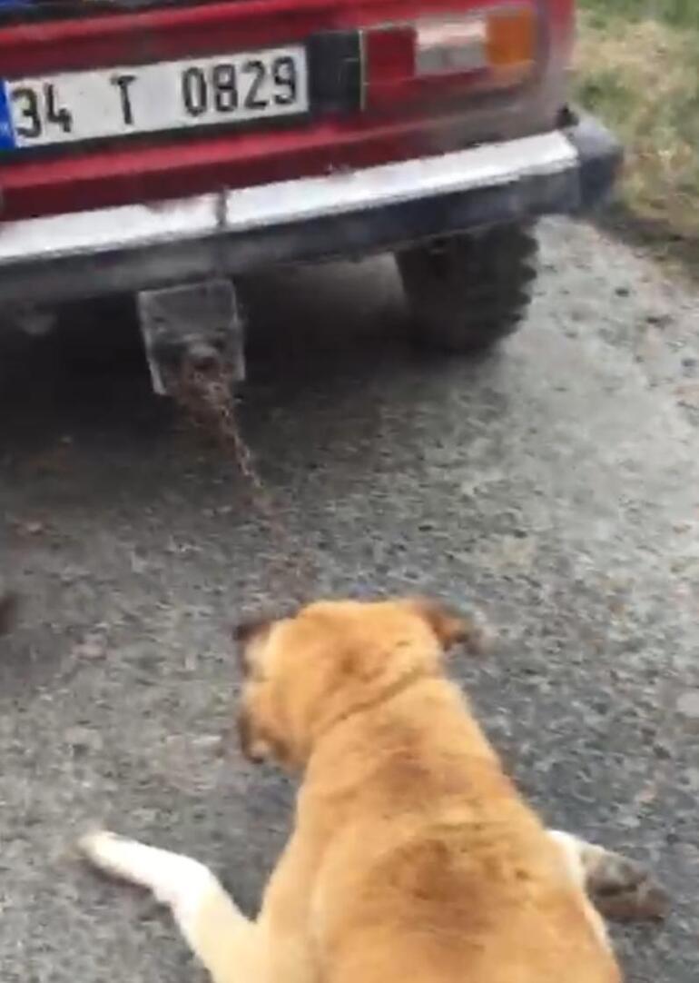 Köpeği aracın arkasında sürükledi
