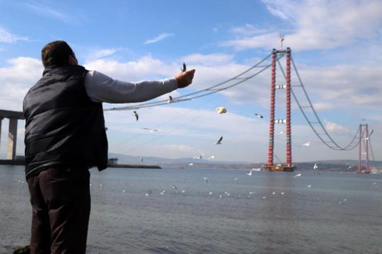 Çanakkale Köprüsü için yıl sonu müjdesi