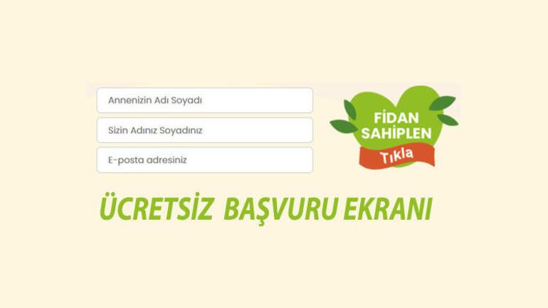Annemin Ağacı OGM kampanyası başvuru ekranı: Annemin Ağacı fidan bağışı kampanyası nedir, başvuru nasıl yapılır