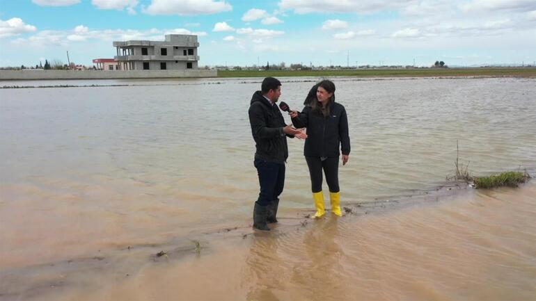 Harran Ovası su altında kaldı Sel felaketinden sonra tarlalar göle döndü