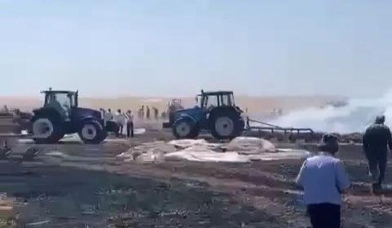 Diyarbakırda 100 dönüm alanda ekili buğday yandı