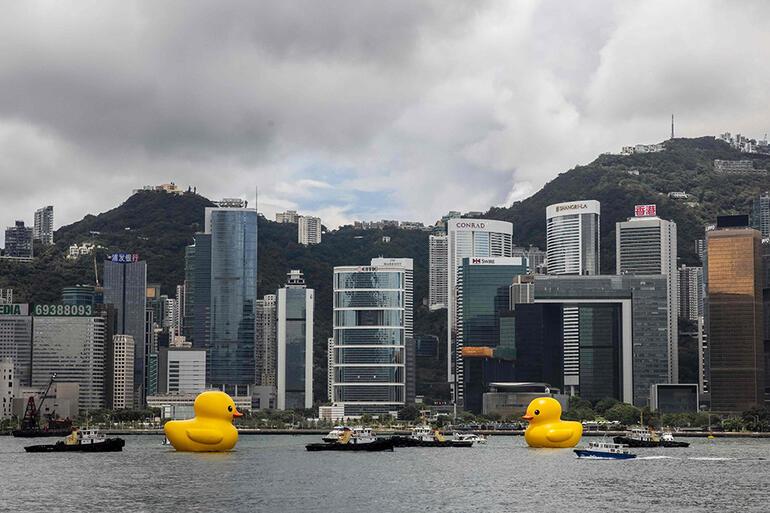Dev ördek Hong Konga geri döndü